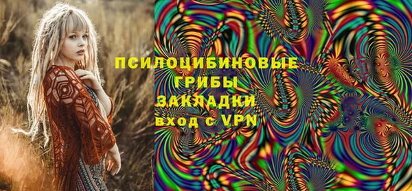 стафф Алзамай