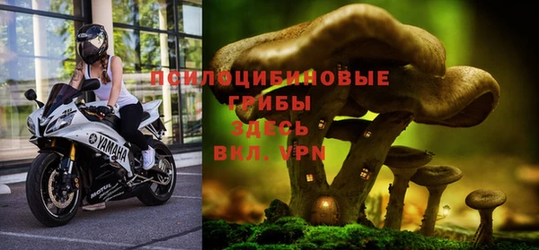 стафф Абдулино