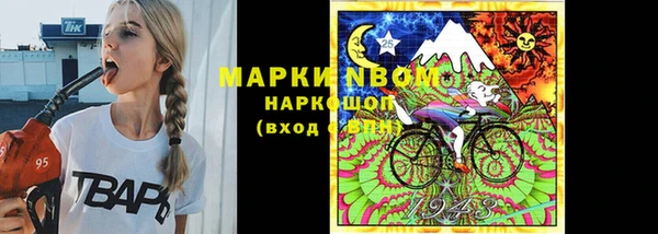 стафф Алзамай