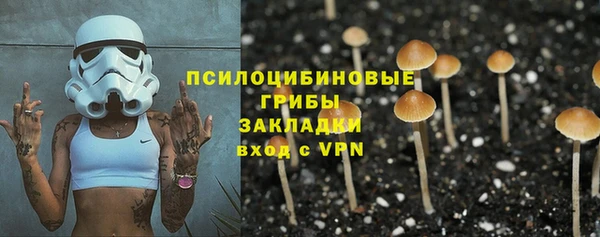 стафф Алзамай
