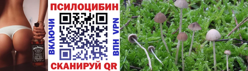 блэк спрут ссылка  Старая Русса  Галлюциногенные грибы мицелий  где найти наркотики 