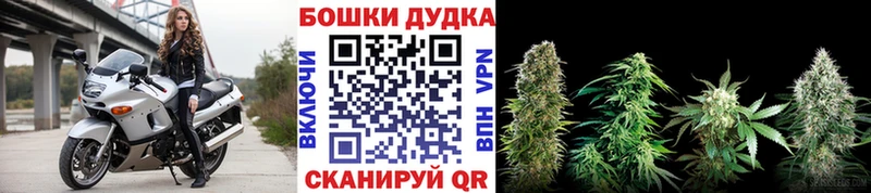 как найти   Старая Русса  Каннабис White Widow 